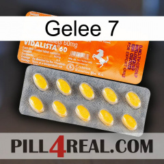 Jelly 7 new05